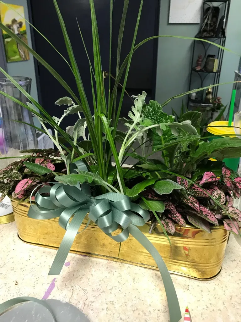 Dish garden planter in a gold tin